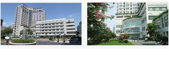 1517989996312453.png image.png